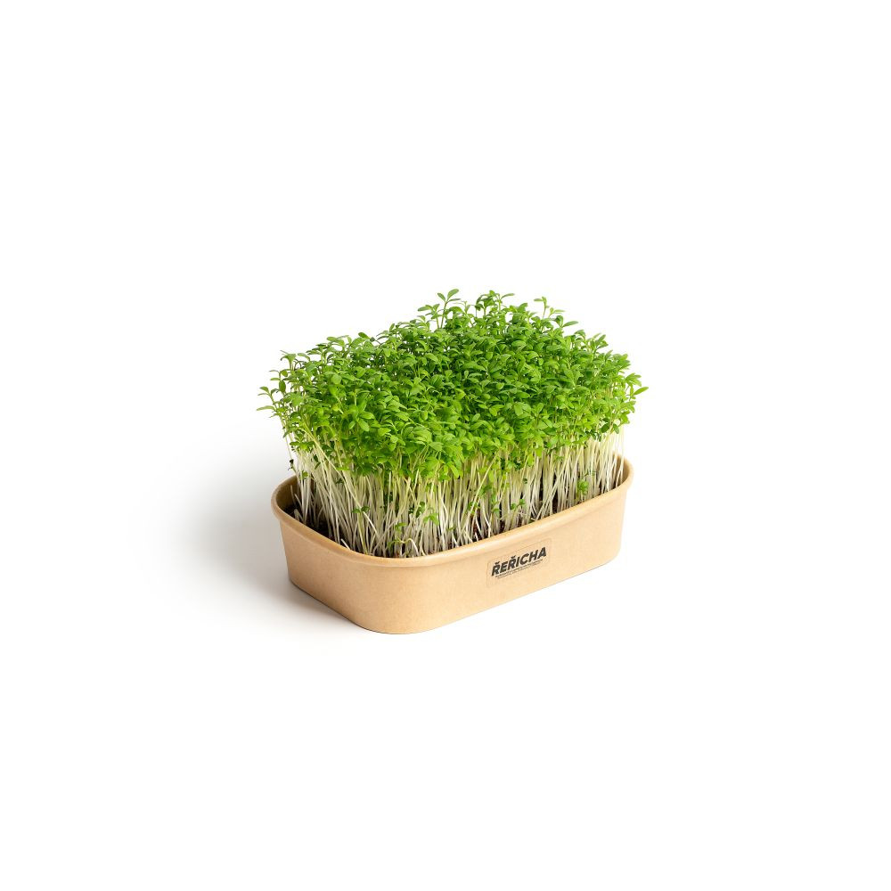 Sada pro domácí pěstování microgreens Řeřicha
